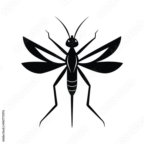 Mosquito Insect Silhouette in Black and White