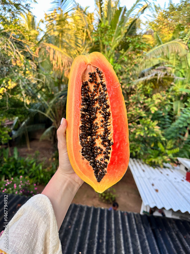 Fresh ripe papaya held in hand against tropical green background, healthy exotic fruit rich in vitamins and antioxidants. photo