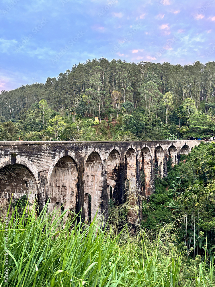 Obraz premium Historic stone railway bridge surrounded by lush green jungle and tall forest trees.