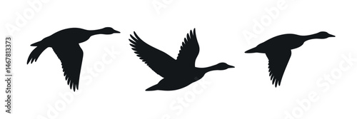 Three Goose Silhouettes in Flight and Landing Positions