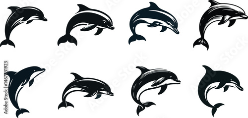 Vector set of black and white dolphin silhouettes, sea animal design