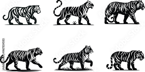 tigers vector illustration set features isolated black and white striped mammals in wild safari style