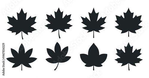 Eight Simple Black Silhouettes of Maple and Other Autumn Leaves