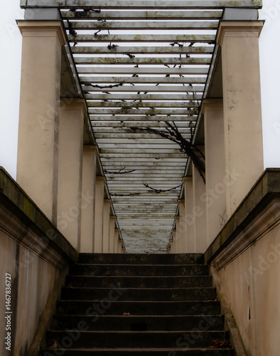 A shaky staircase leading up to the colonnade