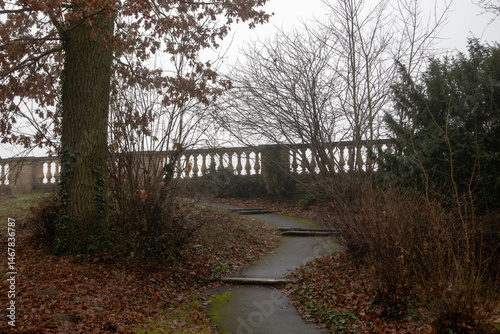 Asphalt path in the park among the leaves of fallen trees