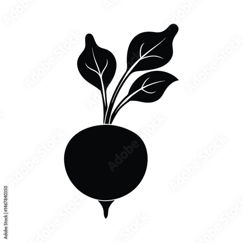 Fresh radish with leafy top