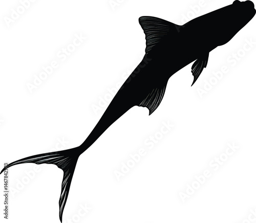 An isolated silhouette of lungfish , vector, png