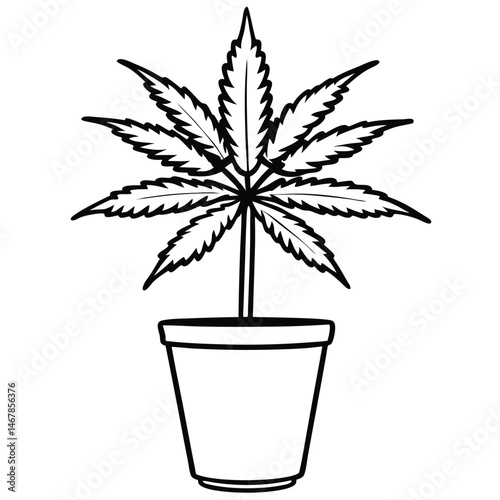 cannabis plant vector illustration