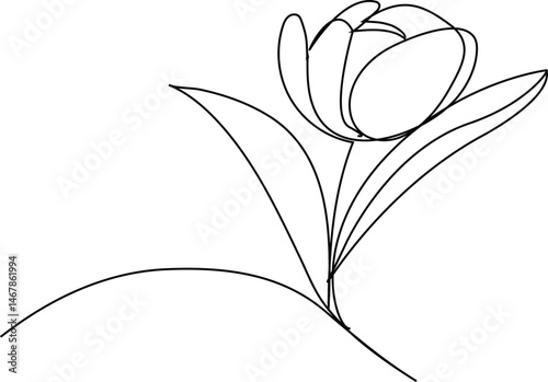 Tulip single line drawing. Abstract flower continuous line. Minimalist contour drawing of tulip. Hand drawn sketch