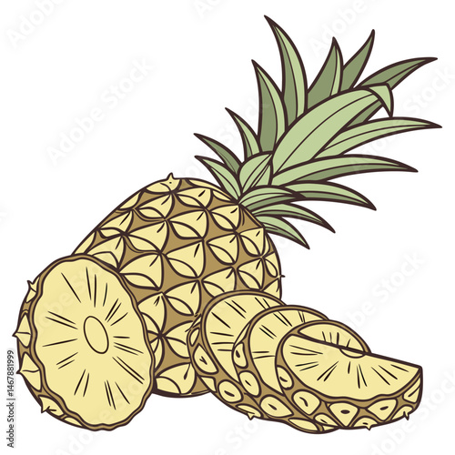 Pineapple Adobe Illustrator Artwork