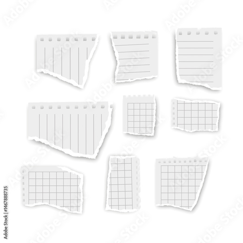 Torn pieces of notebook paper on a white surface