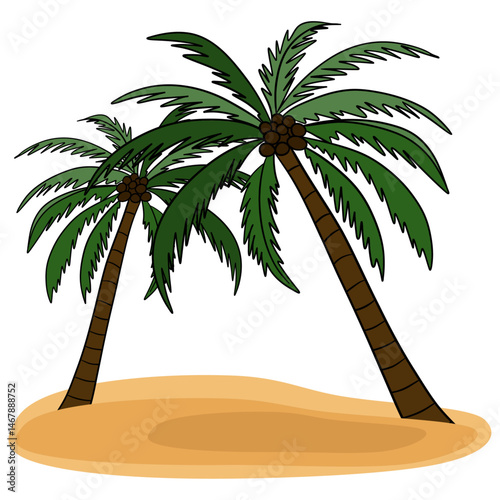 Two palm trees. Tropical island plant beach. Summer time in paradise. Exotic flora