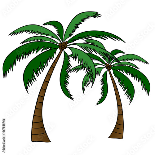 Two palm trees. Tropical island plant beach. Summer time in paradise. Exotic flora