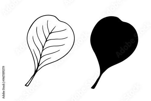 Linear sketch, doodle, silhouette of an autumn leaf. Vector graphics.