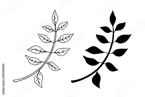 Linear sketch, doodle, silhouette of an autumn leaf. Vector graphics.