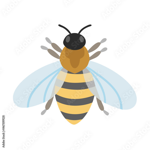 Bee: The Diligent Pollinators of Nature