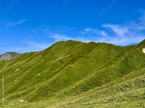 view of the mountains of the Massif Central covered in greenery on a sunny summer day
