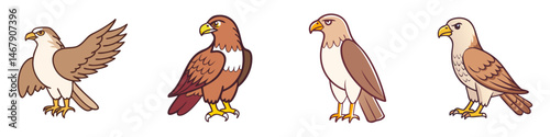 Illustrations of various cartoon hawks standing on white background in vector format
