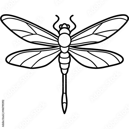 dragonfly vector illustration