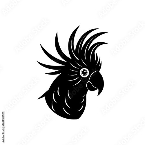 cockatoo head on white background  