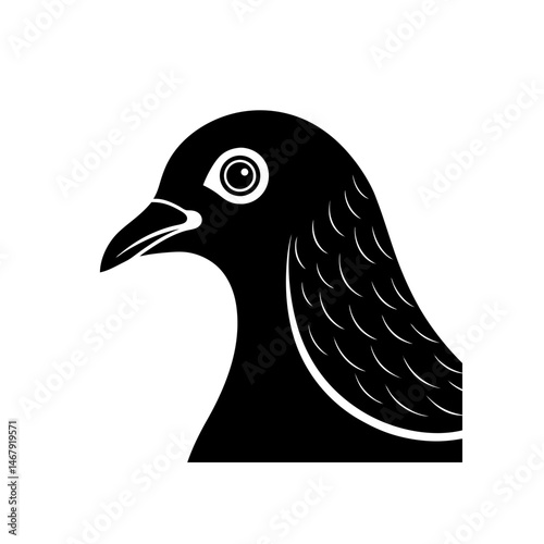 pigeon head on white background 
