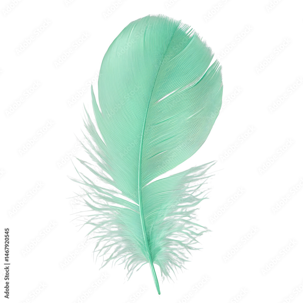 Fototapeta premium Soft Mint Green Feather Isolated on White 