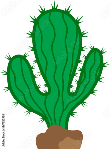 Illustration of a Cactus