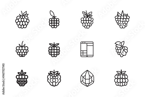 Blackberry Line Art Fruit Design