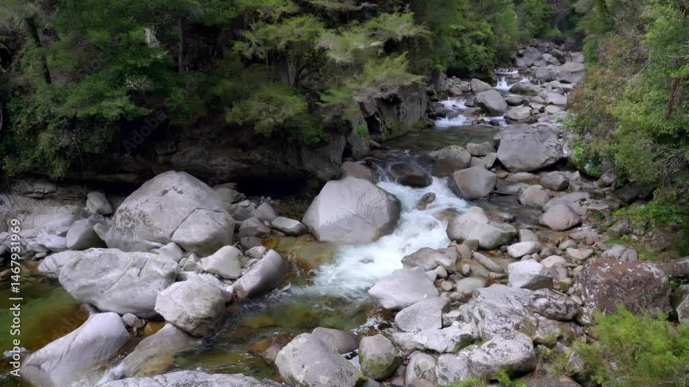 Clean Water Flow in the Rugged Wainui River During Summer – Pristine Nature Scene
Clean Water Flow in the Rugged Wainui River During Summer – Pristine Nature Scene