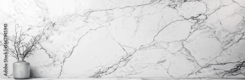 Elegant Minimalist Marble Background with Dried Branches