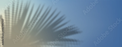 Abstract shadow of leaves and branches on white concrete wall.Soft overlay of natural light.