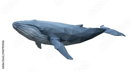 Blue whale illustration