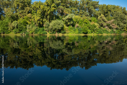 Calm river reflecting dense green forest under clear sky
