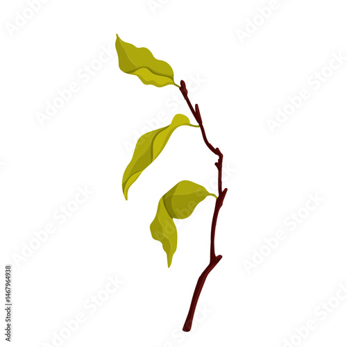 Colorful autumn dry leaves. Seasonal botanical elements. Vector graphics.