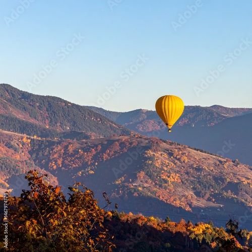 hot air balloon