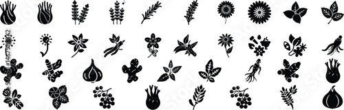 Medicinal herbs black icon set. Vector pictograms of echinacea, ginger, turmeric, lavender, rosemary, calendula, lemon balm, dandelion, st johns wort, black silhouette illustration.