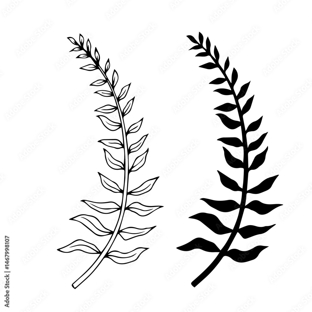 Fototapeta premium Line sketch, stamp, silhouette of forest grass fern. Decorative botanical elements. Vector graphics.