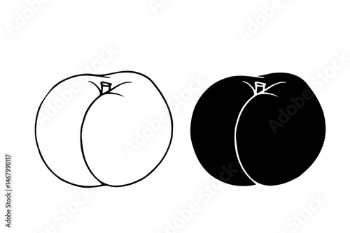 Line sketch, contour, silhouette of peach fruit. Vector graphics.