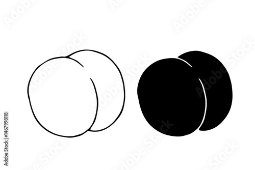 Line sketch, contour, silhouette of peach fruit. Vector graphics.
