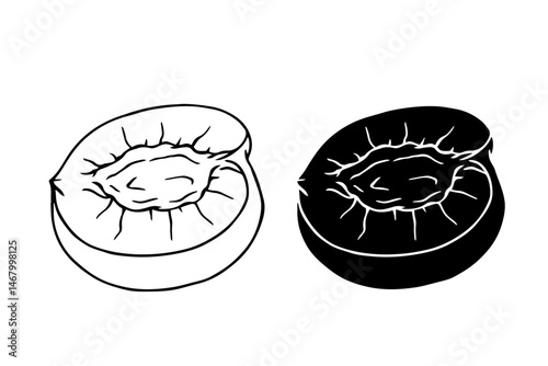 Line sketch, contour, silhouette of peach fruit. Vector graphics.