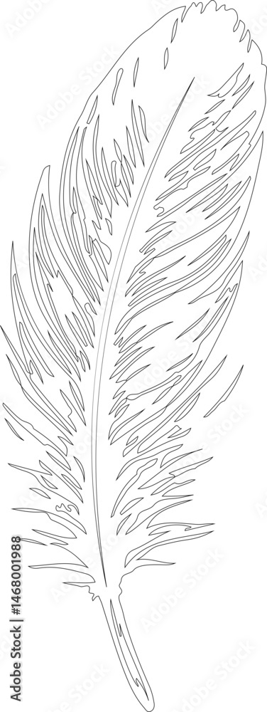 Obraz premium Intricate feather drawing composed of black contour lines with hollow sections and textural detailing.