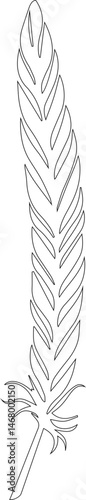 Simple feather element composed of fine black lines with a hollow interior and balanced symmetrical curves.
