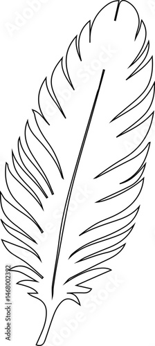 Asymmetrical feather composed of irregular curves and naturalistic line shapes in a freeform arrangement.