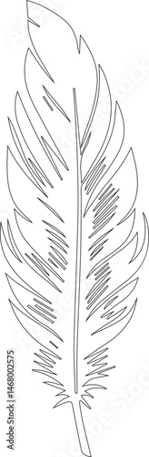 Feather formed with basic lines and smooth curves in a minimalist composition.