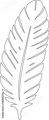 Feather with subtle shading and contrast, featuring smooth transitions and soft curves in the design.
