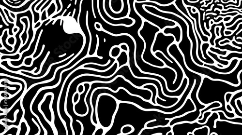 Abstract Black and White Organic Lines  Topographic Pattern.