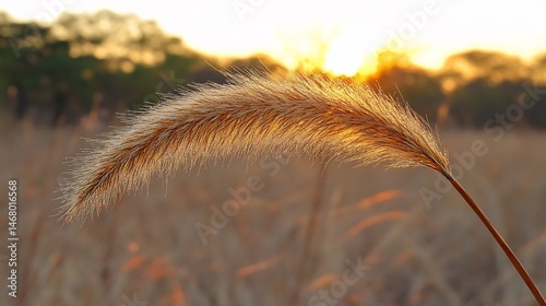 Dewdrop glistening on a blade of grass in the soft light of morning