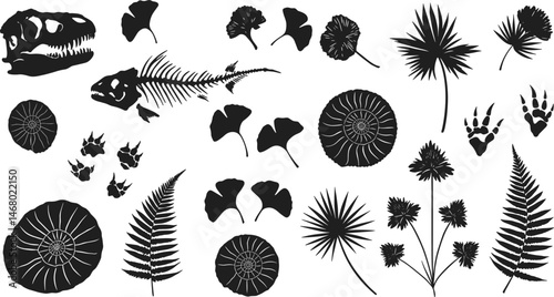Fossil vector. Archeologic fossil dig set. Dinosaur dino foot, sea animal, fish skeleton, plant, shell. Ancient stone. 
