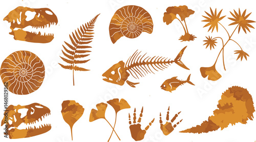 prehistoric, dinosaur, fish, background, icon, vector, texture, isolated, vintage, illustration, leaf, cartoon, white, animal, sea, silhouette, plant, science, set, stone, print, rock, ground, archeol