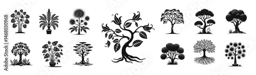 tree silhouettes collection. Set of tropical trees, vector illustrations